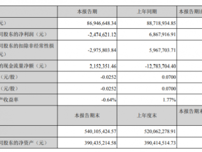 天地数码2020年一季度亏损247.46万 较上年同期由盈转亏